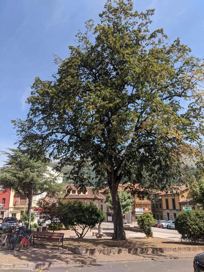 Hotel La Plaza Proaza Luaran gambar